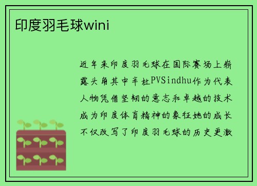印度羽毛球wini