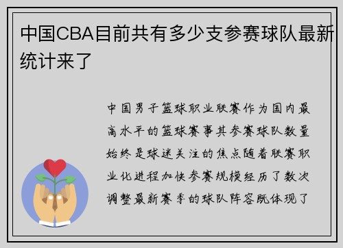 中国CBA目前共有多少支参赛球队最新统计来了