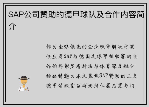 SAP公司赞助的德甲球队及合作内容简介